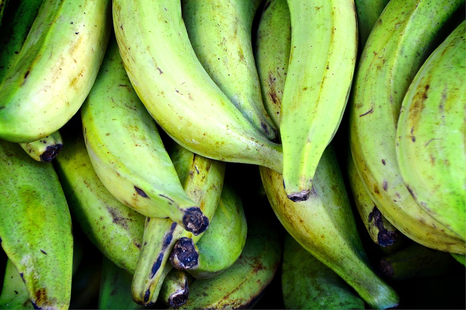 Plantains